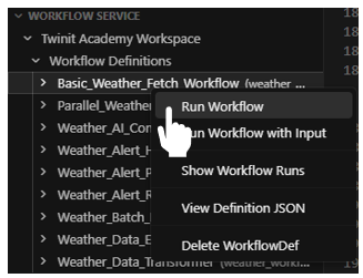 ide run workflow